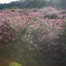 고향주유소 이미지