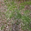 시영농장 이미지