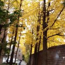 하계역(7호선) 이미지