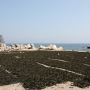 두두&두두민박 이미지