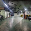 서초권투체육관 이미지