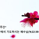 감람산에서 주님의 기도(눅22:39~46) 이미지