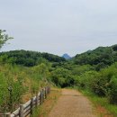배스킨라빈스문경점촌점 | 문경새재 당일 버스투어 패키지 후기(ft. 로망스투어)