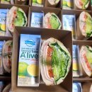 비젤유치원 이미지