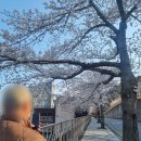 송이용소 이미지