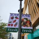 갓따옴fresh