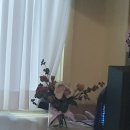 소피아꽃방