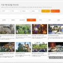 나이스필투어 네이버블로그