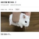 정말 햄듭니다..,