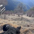 탕곡리마을회관 이미지