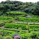 약용식물관리사 이미지