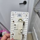 풍성치킨