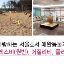 서울스포츠과학관 Daum카페