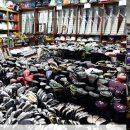 대덕연구단지체육공원 이미지