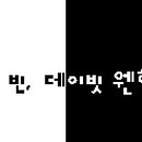 일라이션 Daum카페