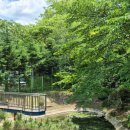만경푸드 | 세종 가볼만한곳 베어트리파크 | 100여마리의 곰 구경, 장미정원, 잉어 먹이주기까지 !