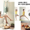 참쉬운다이어트