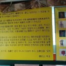 강화해독관