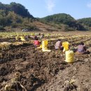 진성농장 이미지