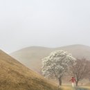 연못뜰