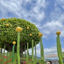 상신리 주차장 화장실 이미지