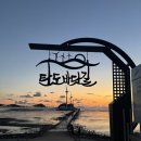탄도항 | [안산] 서울 근교 대부도 당일치기 여행코스｜포도밭할머니칼국수·뮤시엄카페·탄도항 일몰 후기🌅