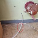 성남은행초등학교 이미지