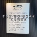 윤선생애견훈련소 | 용인 죽전| 강아지 훈련소 전문선생님이 함께하는 유치원, 퍼피엘리트