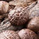 태청산농장 이미지