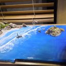 모래사장이 있는 해변 입니다 이미지