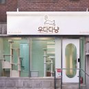 서촌도그살롱 이미지