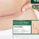 슈어파트너스