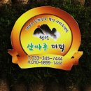 횡성산마루더덕