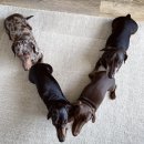 모닝하버 펜션 이미지