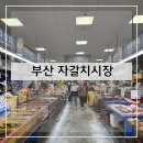 씨유부산중구중앙점 | 부산 중구 자갈치시장 해산물맛집 회맛집 방문후기 및 추천(+내돈내산)