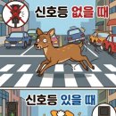 신호 웹이코노미