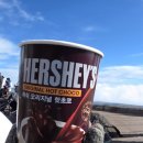 영화파크여관 | 한라산 등산 기록 / 관음사 등산 성판악 하산 / 겨울 등산 후기 및 팁