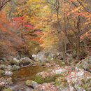 이동원의 가을 편지 이미지