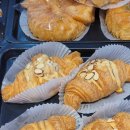 마소마레 이미지