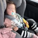 (주)루시키즈