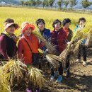 경진농장 이미지