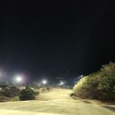 서라벌 티스토리