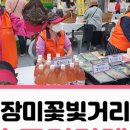 장미의거리5 이미지