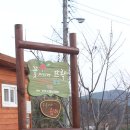 꽃 뜨락 이미지