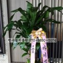 그랑프리당구장 이미지