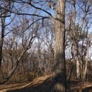 [광주 광산구]광주여대~동자봉(154m)~풍악정~어등산 석봉(338m)~풍악정~동자봉~광주여대 다녀오기(2018/12/15/토 오후 이미지