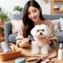 모라동물병원 | 말티즈 키우기 가이드 털 관리·성격·건강 관리 꿀팁 총정리