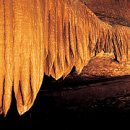 양동목장 이미지