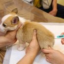 다정동물병원 이미지