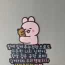 윤썬토퍼